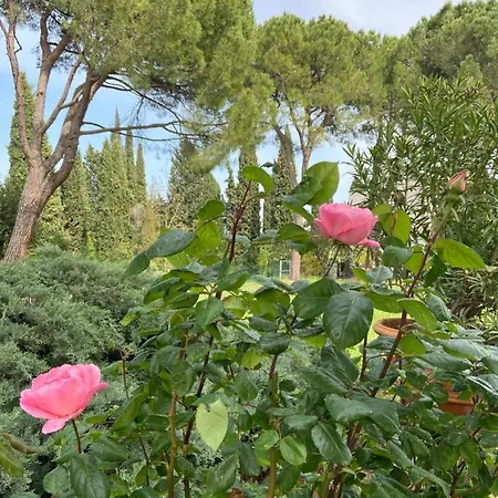 Castello Machiavelli Bed & Breakfast *