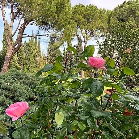 Bed & Breakfast Castello Machiavelli Ozzano dell'Emilia