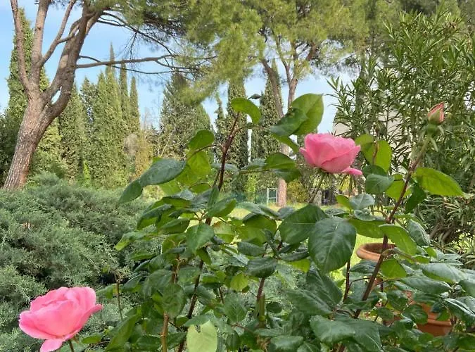 Castello Machiavelli Alojamento de Acomodação e Pequeno-almoço 4*