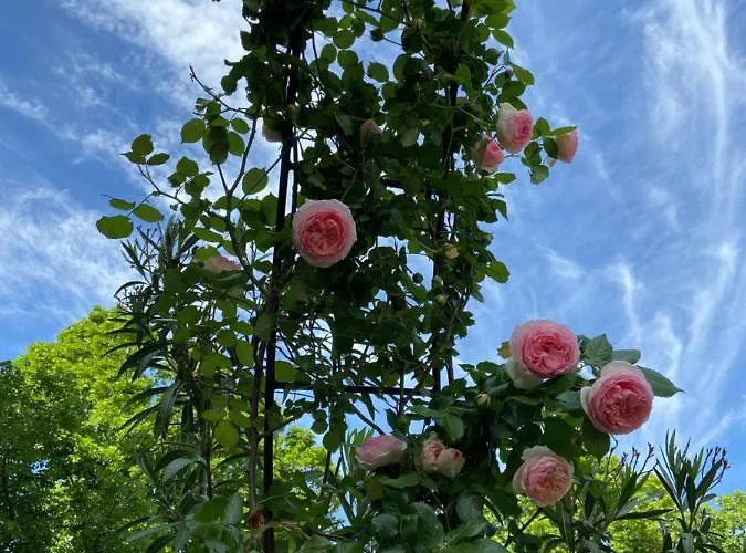 住宿加早餐酒店 Castello Machiavelli 奥扎诺-德尔艾米利亚