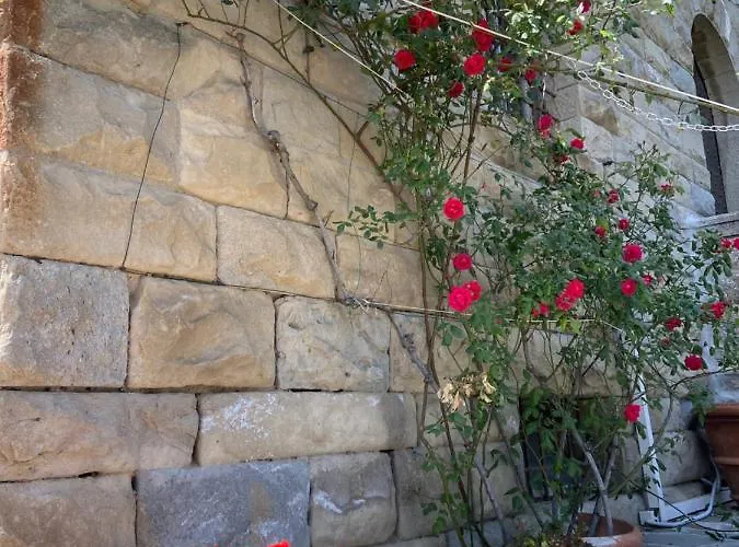 Castello Machiavelli 奥扎诺-德尔艾米利亚